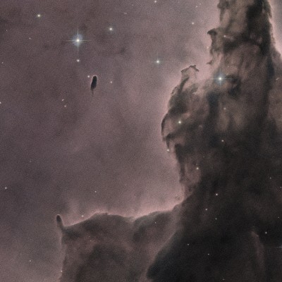 코코포리아 튜토리얼